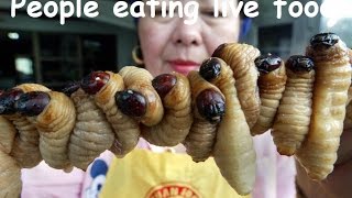 People eating live food compilation 2015
