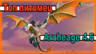Archeage 4.5. - Ездовой питомец дракон / Наглядно / Топ питомец