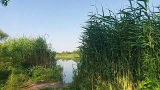 Запорожье это не Фейк 06.07.2022