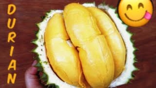 DURIAN FRUIT