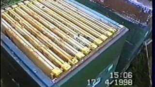 Пчеловодство-1 (Польша) на рамку 145