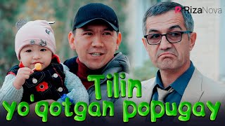 Shapaloq - Tilin yo'qotgan popugay