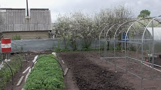 ОБЗОР 4 МАЯ. ПОХОЛОДАЛО! Ольга Чернова.