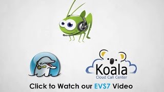 Dialer Software & Virtual Call Center by Electronic Voice Services