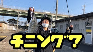 大阪湾奥。初めてのチニング？？