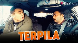 Zamonaviy bojalar - Terpila