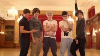 One Direction singing parody of What Make You Beautiful
