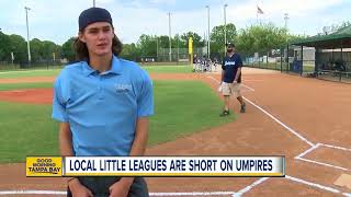 Little leagues forced to cancel games due to severe umpire shortage