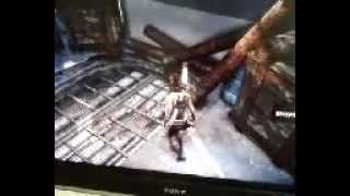 Tomb Raider Bug Solution