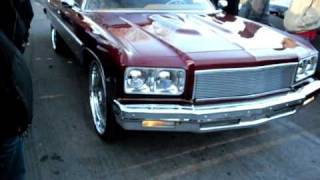 DONK VERT 75