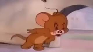 ::Meme Tom and Jerry