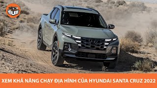 Xem khả năng chạy địa hình của bán tải Hyundai Santa Cruz 2022 |2022 Hyundai Santa Cruz Offroad|