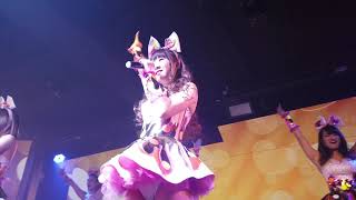2019/1/13　バーレスク大阪第1部　ジッパー