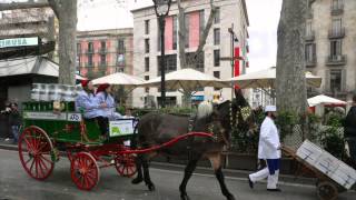 Llet ATO - Festacatalunya