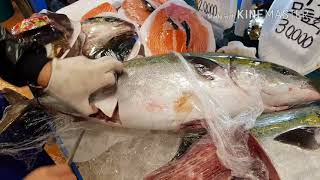 킹크랩 먹으러 출동 방어회도 콜 !! 대방어 해체 모습 Look at the king crab.