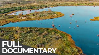 Amazing Quest: Stories from Botswana | Somewhere on Earth: Botswana