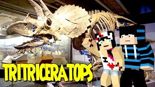 Minecraft: DinoCraft #29 - O altar do Stegossauro!