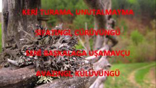 Musukalanı Ruslan - Aruvum