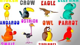 Английский язык для детей, учим животных и цвета