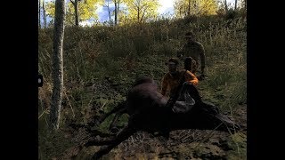 COMPILATION DE BATTUE #1 the hunter+ bonus