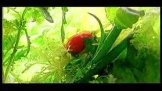 Become a real food lover