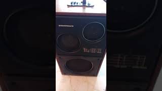 Старая колонка Электроника 25 АС-326 в новом исполнении.