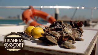 Бахрейн ? Планета вкусов ? Моя Планета