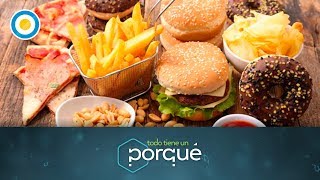 ¿Por qué comemos? (2 de 3) - Todo tiene un porqué