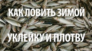 ЛОВЛЯ УКЛЕЙКИ и ПЛОТВЫ ЗИМОЙ на МОРМЫШКУ со ЛЬДА