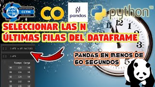 ¿Cómo ver las últimas líneas de un dataframe y descargar archivos CSV desde Google Colab? | Shorts