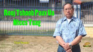 Rooj Tshoob Pauv Ua Ntees Tuag_19/1/2020