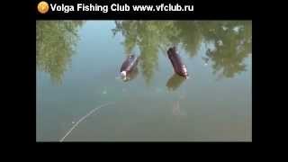 Ловля рыбы летом на пластиковые бутылки
