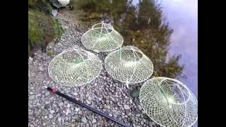 Раки под водой, раколовки подводное видео, crayfish under water, food for crayfish, fishing, angling