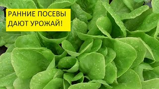 Ответы на вопросы зрителей 1 мая. 