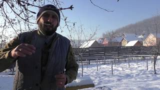 Смотрим как зимуют заклещенные семьи 19.12.2018