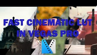 Fast Cinematic COLOR GRADING With LUT in Vegas PRO ( Free Download LUT)