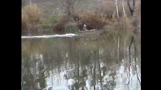 Водомётный движитель