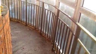 Куплю квартиру на Шолмова | Двухкомнатная квартира Ульяновск 55,87 м2 | Новостройка Ульяновск