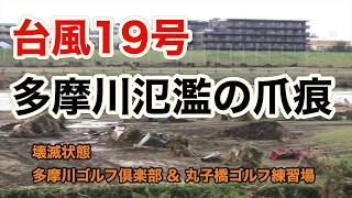 台風19号多摩川氾濫の爪痕　多摩川ゴルフ倶楽部と丸子橋ゴルフ練習場の現状