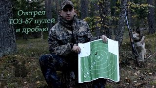 Блог лесной №4. Стрельба из ТОЗ-87, пуля Полева и дробь №3.