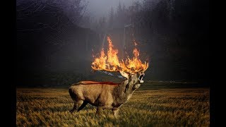 КРИК ИЗ СИБИРСКОЙ ТАЙГИ//СИБИРЬ ГОРИТ//ПОЖАРЫ В СИБИРИ///Марианна Life