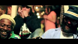 Sunny Ledfurd - Wildlife Club