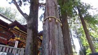 凄いパワー！見て！開運 【三峯神社】神秘のパワー  関東一のパワースポット凄い
