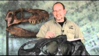 Ask DG #132 -- Tyrannosaurus, Dilophosaurus, Spinosaurus, Pawpawsaurus and Gastonia