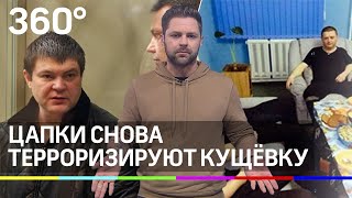 Цапки снова терроризируют Кущёвку