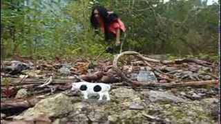 A Walk In The Woods (unaware giantess fantasy)
