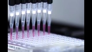Лучшая вакцина от COVID-19 – это всеобщий карантин?
