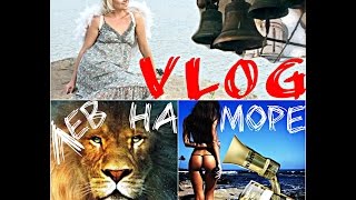 VLOG: Звон колоколов / Лев купается в море!!!! Пляжная болтовня от Кати bysinka2032