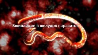 зеленый кофе для похудения украина