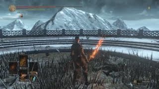 Sekiro Cosplay PvP